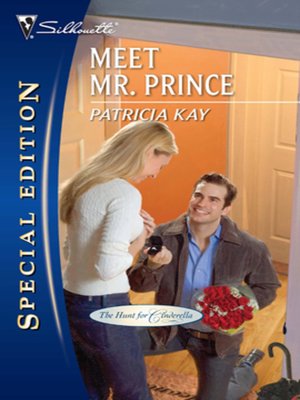 cover image of Meet Mr. Prince